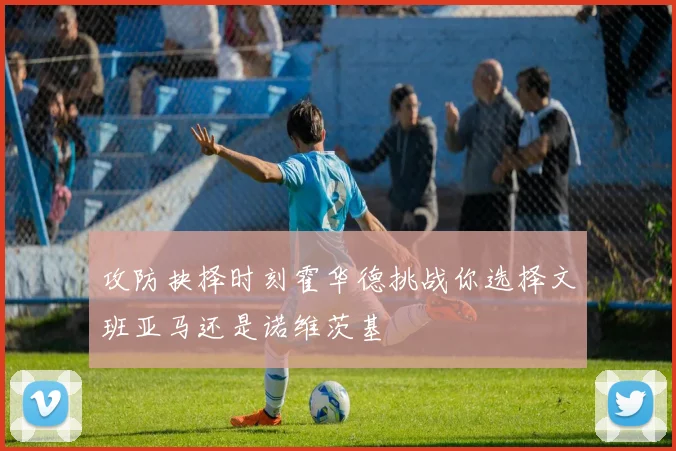 攻防抉择时刻霍华德挑战你选择文班亚马还是诺维茨基